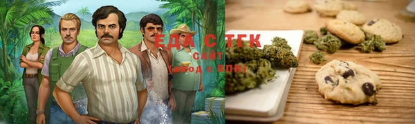 индика Арсеньев