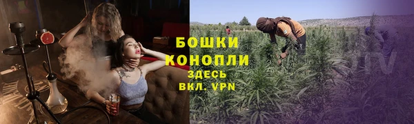 гашик Аркадак