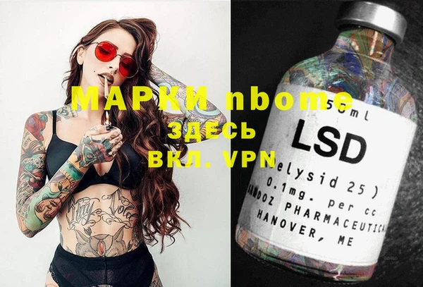 индика Арсеньев
