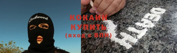 гашик Аркадак