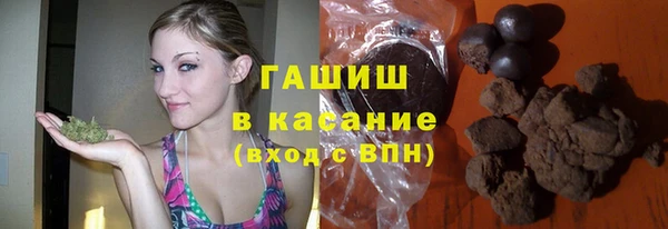 индика Арсеньев