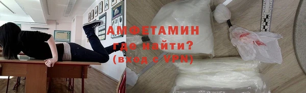 индика Арсеньев