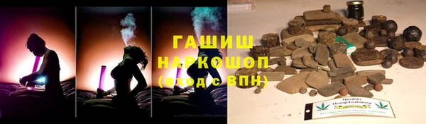 индика Арсеньев