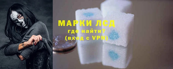 гашик Аркадак
