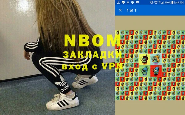 индика Арсеньев