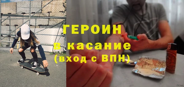 индика Арсеньев