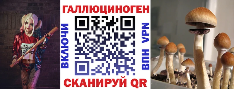 Псилоцибиновые грибы GOLDEN TEACHER  наркошоп  Россошь 